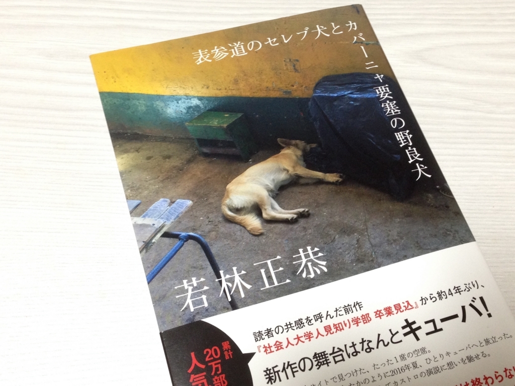 感想 オードリー若林 表参道のセレブ犬とカバーニャ要塞の野良犬 は紛れもない良書だった かっぱの平泳ぎ