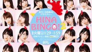 HINABINGO!2の表紙